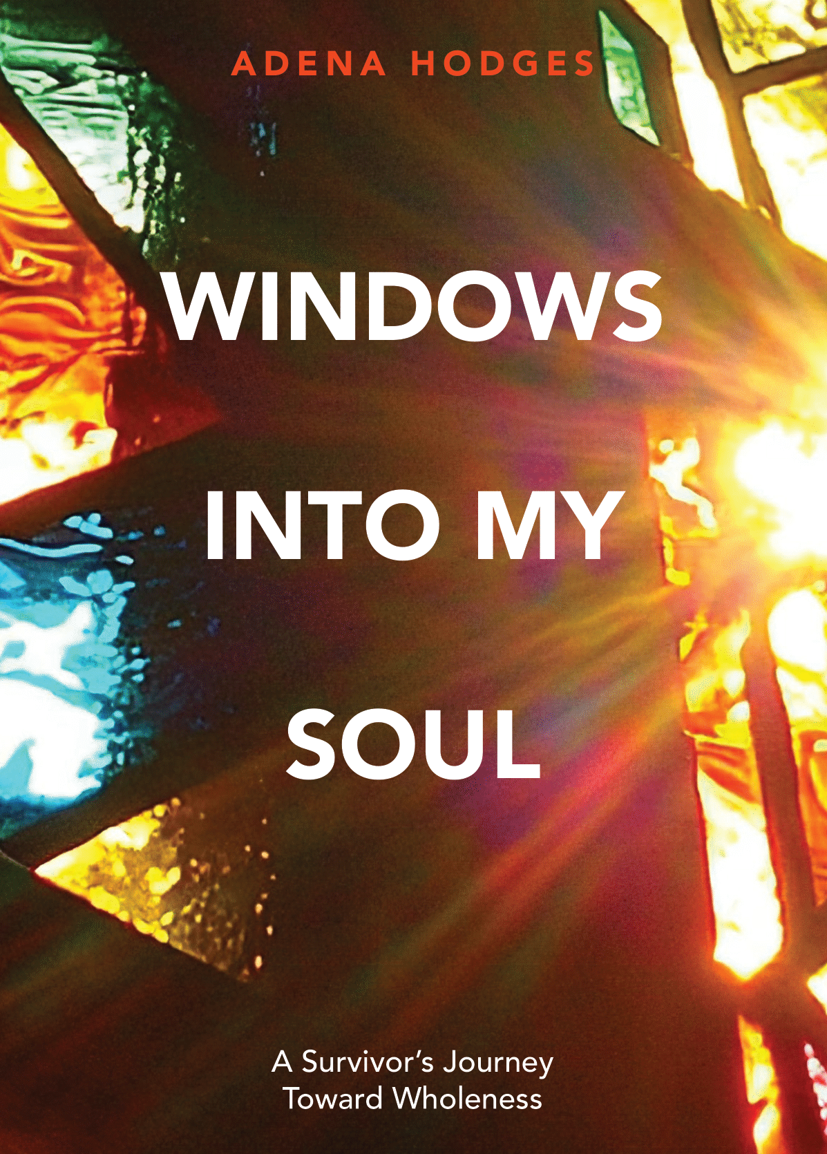 windows into my soul book 